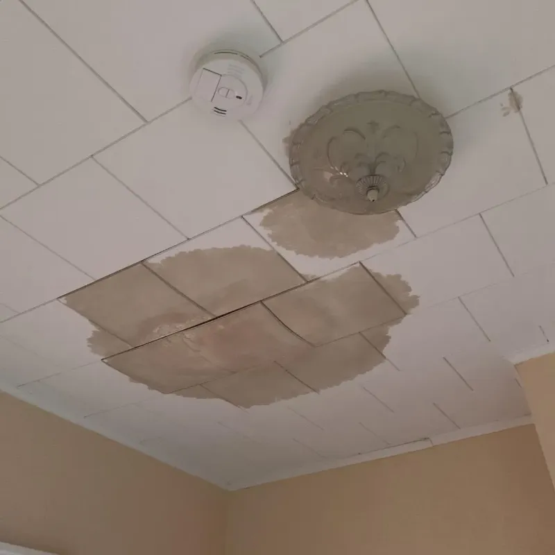 Ceiling Water Damage Repair in Alief, TX