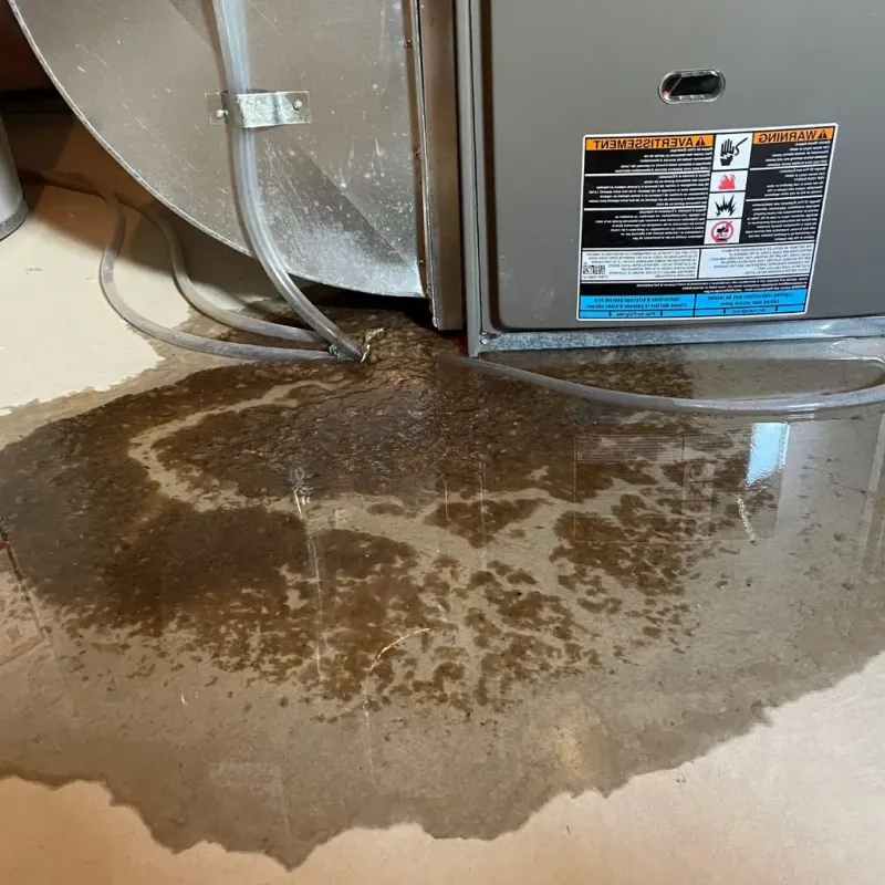 Pipe Burst and Leak Restoration in Alief, TX